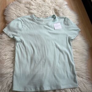 NWT American Eagle Mint Green/Blue Ribbed T-Shirt L